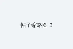 好奇宝宝的头像